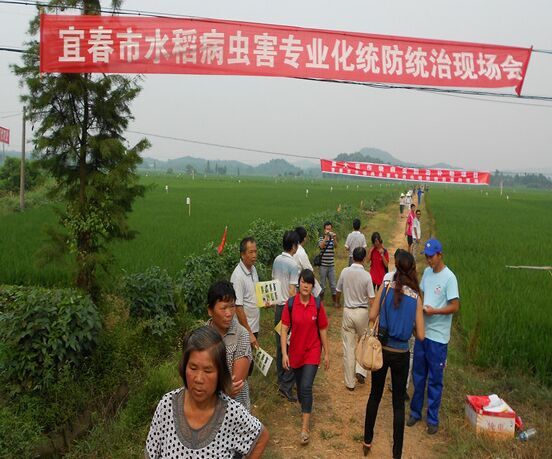 舟山有机富硒大米(富硒优质大米)-硒宝网