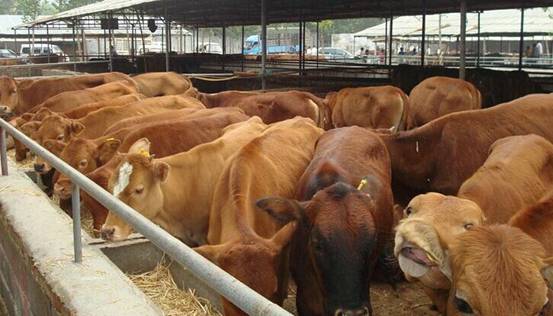 舟山有机富硒大米(富硒优质大米)-硒宝网