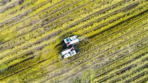 富硒大米加工基地（大米基地加工富硒的方法）-硒宝网