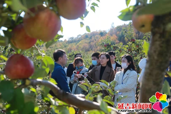 延边有机富硒大米（延寿富硒大米）-硒宝网