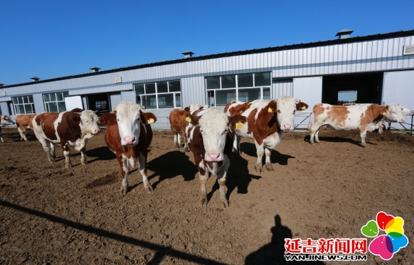 延边有机富硒大米（延寿富硒大米）-硒宝网