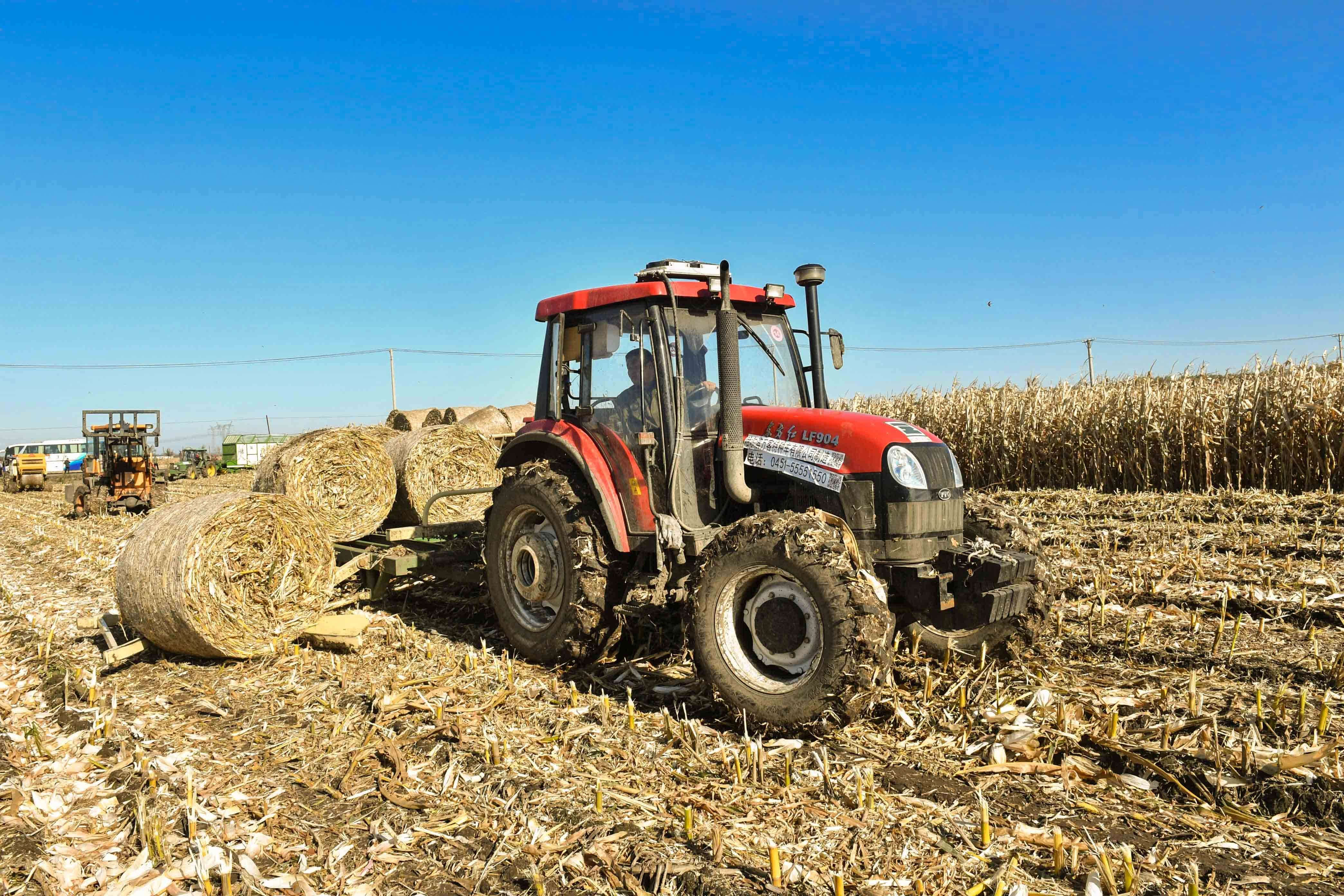 双赢生态富硒大米(富硒大米价格表)-硒宝网