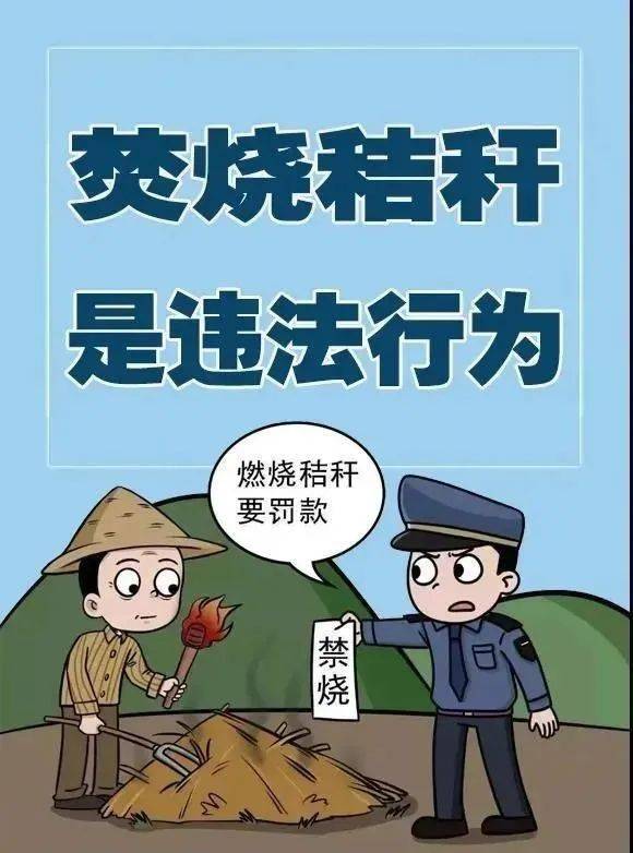 双赢生态富硒大米(富硒大米价格表)-硒宝网