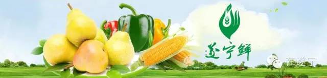 遂宁有机富硒大米（富硒大米生产技术）-硒宝网