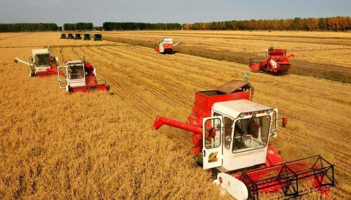 襄阳有机富硒大米（富硒优质大米）-硒宝网