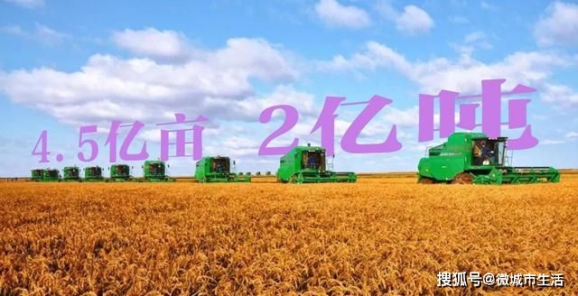 有机富硒大米技术(富硒大米生产技术)-硒宝网