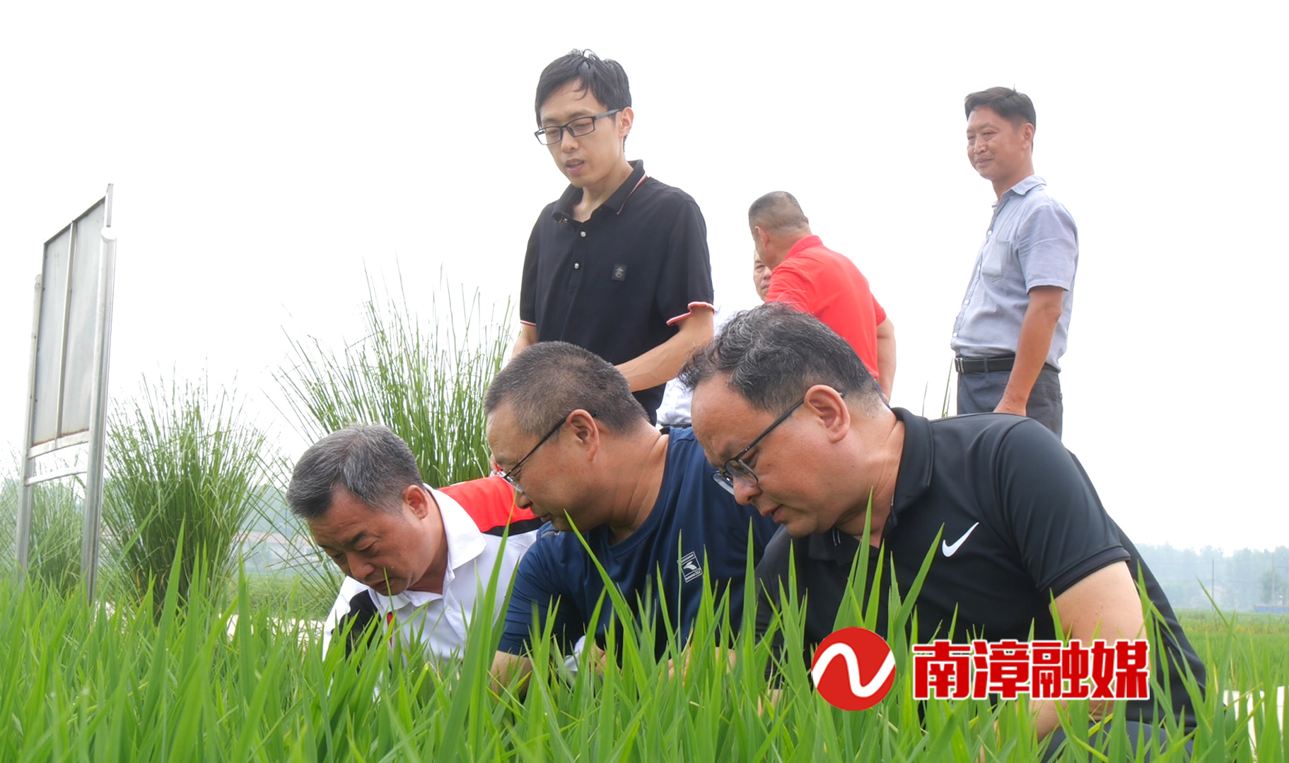 襄阳有机富硒大米(富硒大米好在哪)-硒宝网