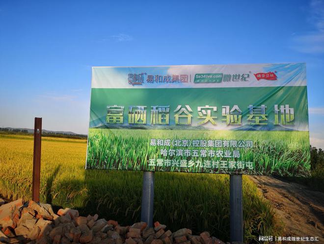 富硒大米如何使用(富硒大米有用吗)-硒宝网