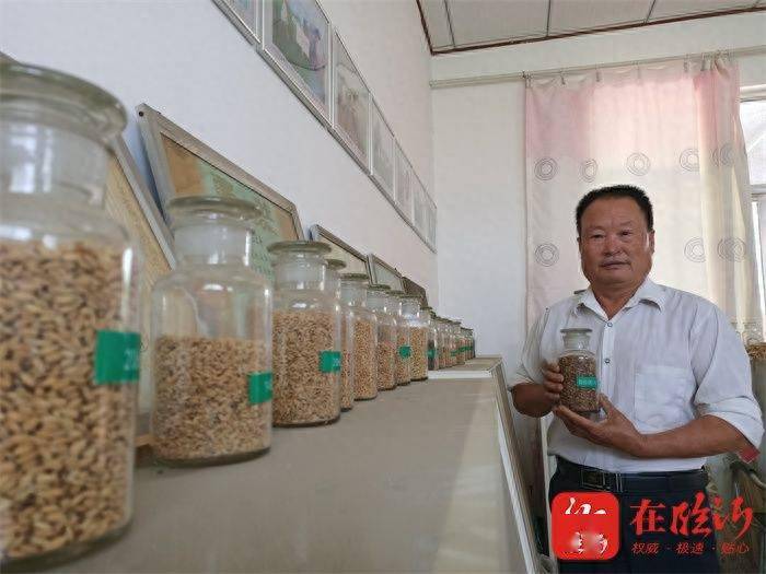 稻香丰年富硒大米（富硒大米和稻花香大米哪个好）-硒宝网