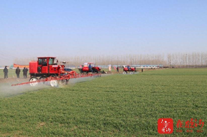 稻香丰年富硒大米（富硒大米和稻花香大米哪个好）-硒宝网