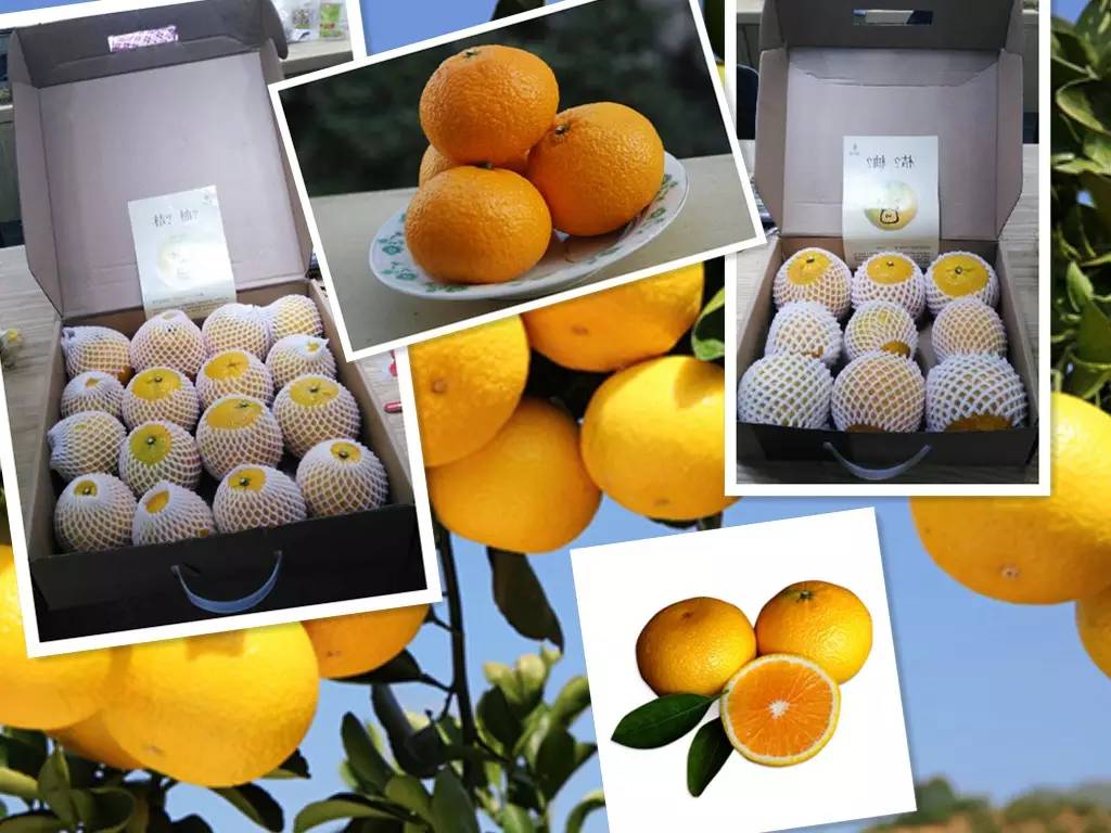 品质上乘富硒大米(大米的富硒标准)-硒宝网