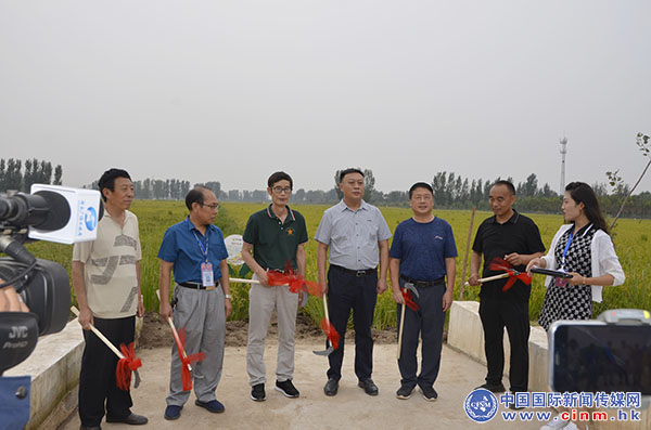 稻香丰年富硒大米(稻花香富硒大米)-硒宝网