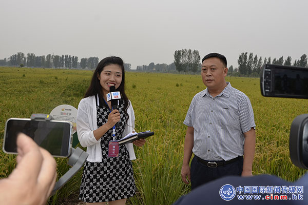 稻香丰年富硒大米(稻花香富硒大米)-硒宝网