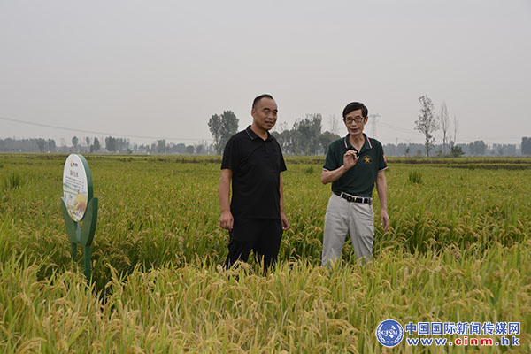 稻香丰年富硒大米(稻花香富硒大米)-硒宝网