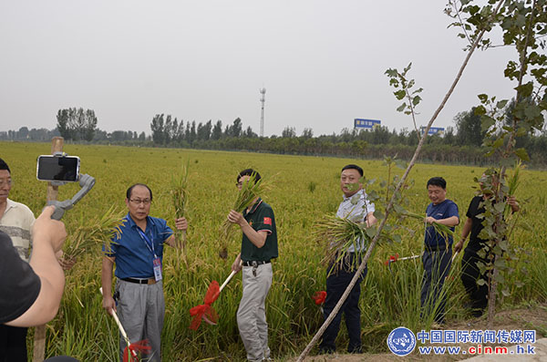 稻香丰年富硒大米(稻花香富硒大米)-硒宝网