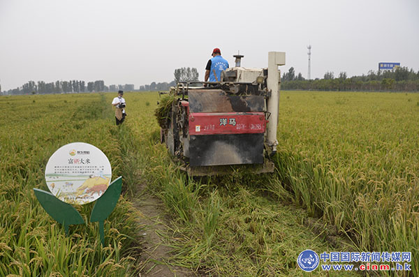 稻香丰年富硒大米(稻花香富硒大米)-硒宝网