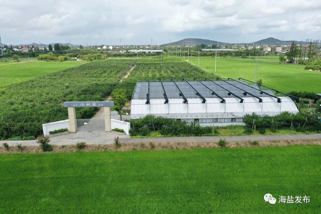 锦州富硒绿色大米(富锦富硒大米)-硒宝网