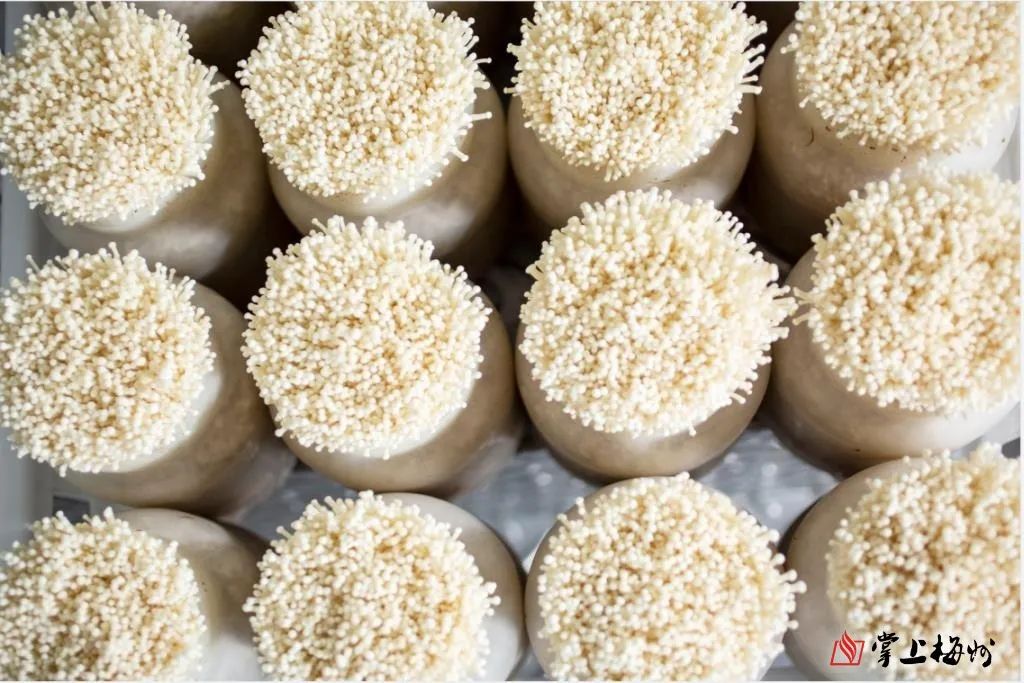 品质上乘富硒大米(富硒大米成分表)-硒宝网