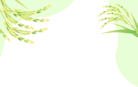 盘锦富硒绿色大米(绿色富硒大米价格)-硒宝网