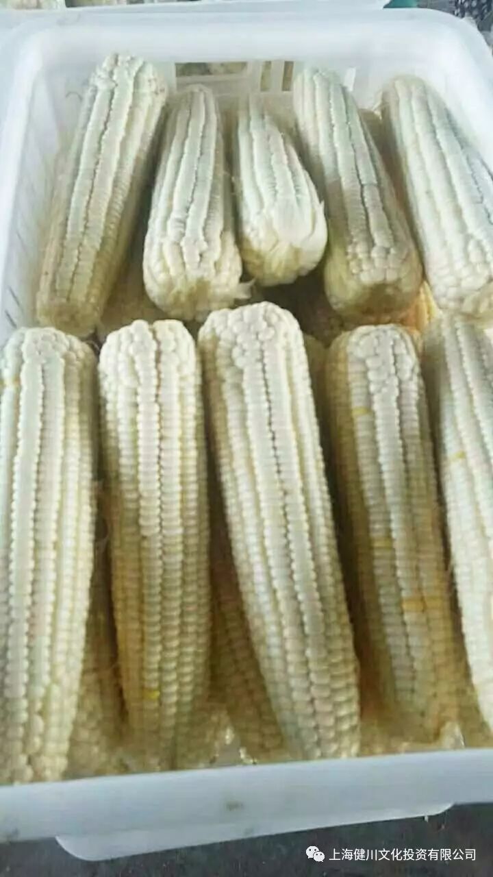 铁岭富硒大米品牌(辽宁富硒大米)-硒宝网