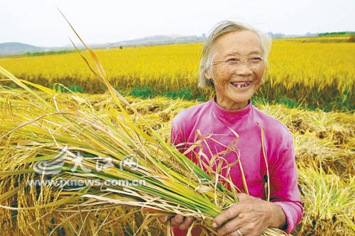 富硒大米生态基地(中国天然富硒大米产地)-硒宝网