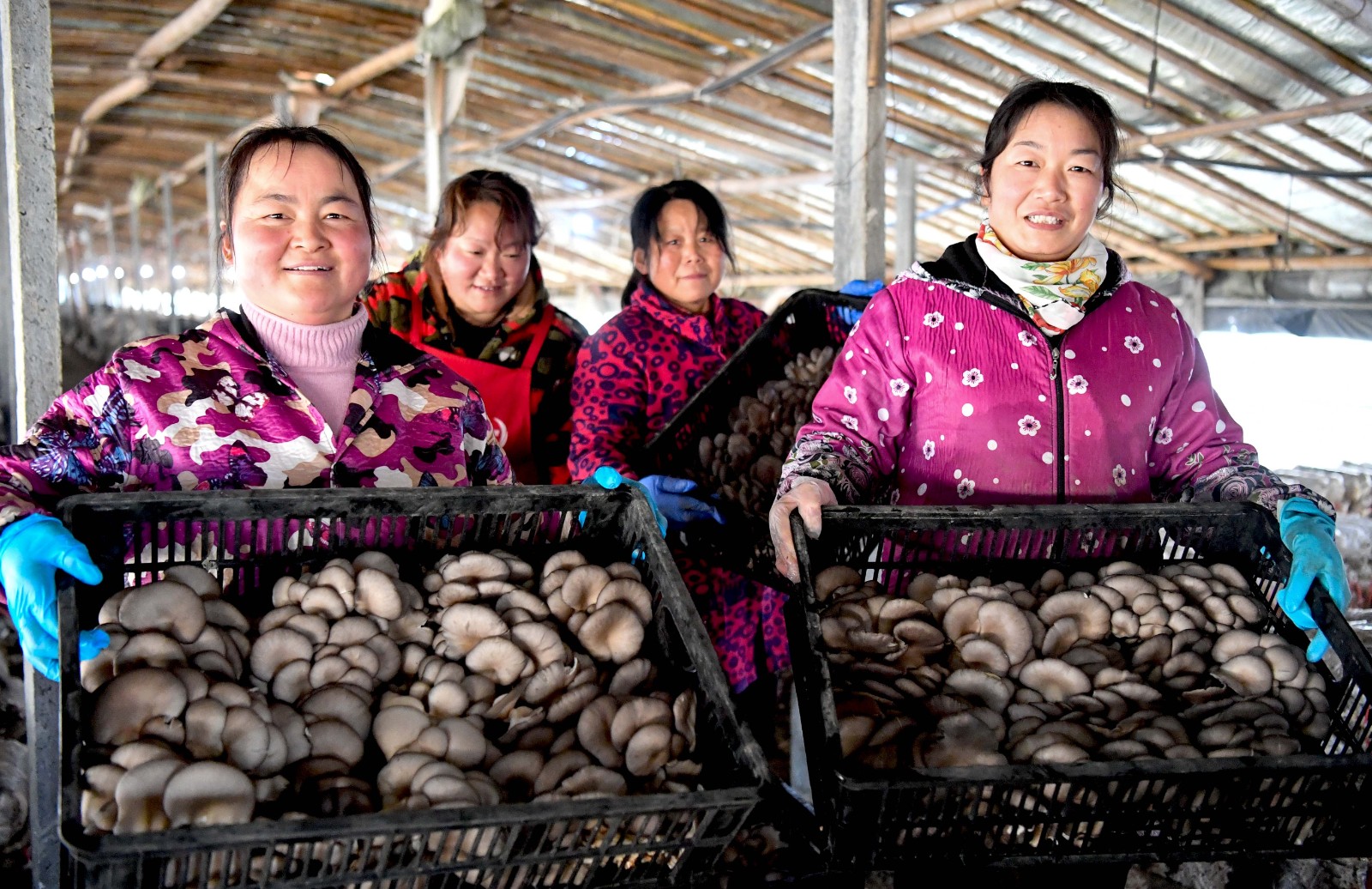 富硒大米生态基地(中国天然富硒大米产地)-硒宝网