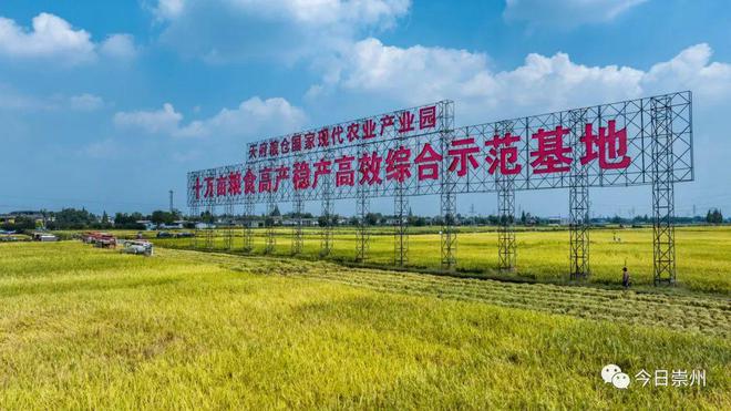 天府富硒大米基地（中国天然富硒大米产地）-硒宝网