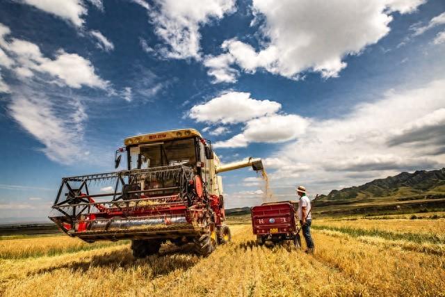 中国粮食富硒大米(富硒大米市场分析)-硒宝网