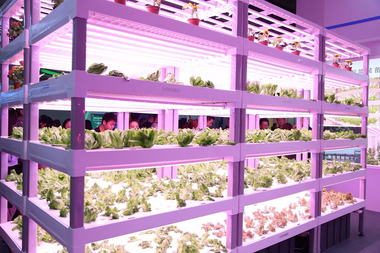 深圳富硒大米代理(富硒大米哪里有卖)-硒宝网