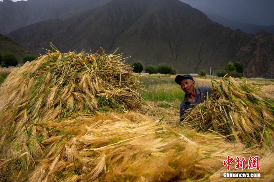 开阳富硒大米批发(富硒大米市场分析)-硒宝网