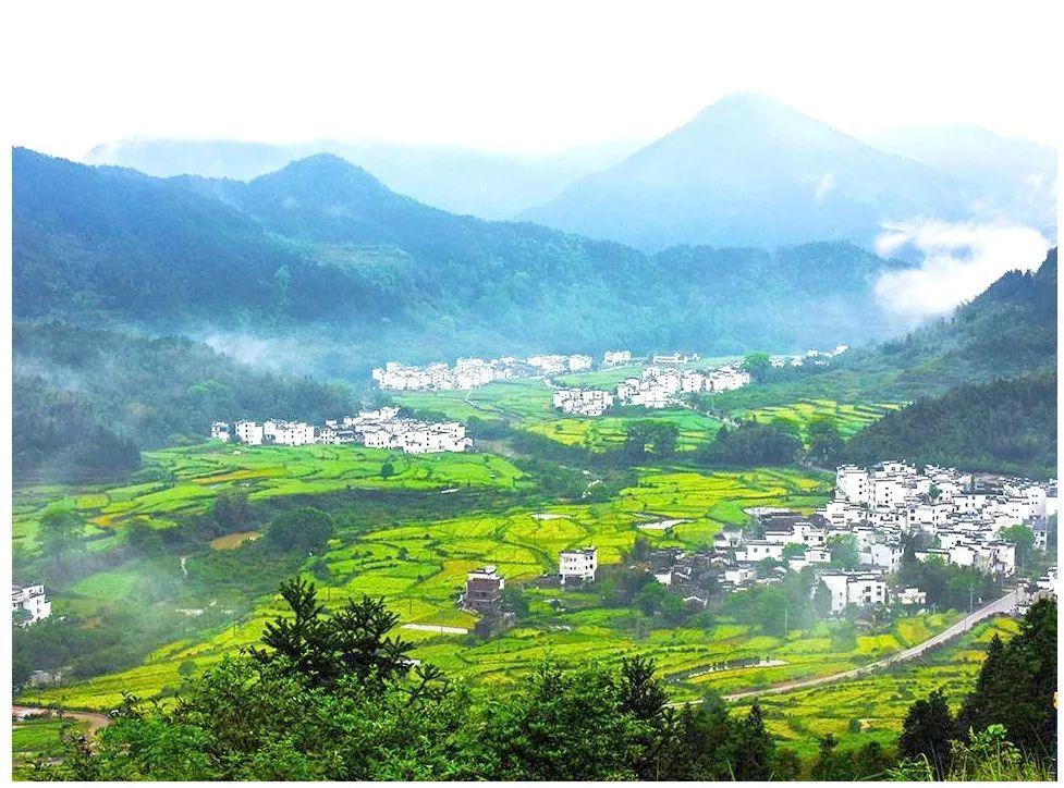 宜春富硒大米素材（江西宜春富硒大米多少钱一斤）-硒宝网