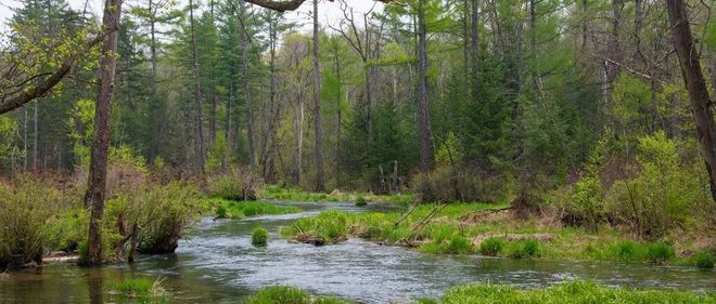 东北富硒大米介绍（东北大米含硒吗）-硒宝网
