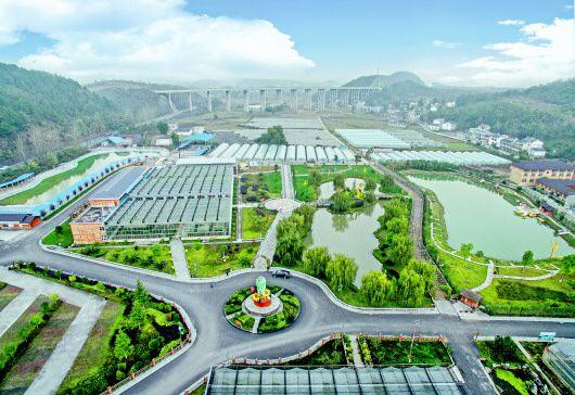 榕江富硒大米产量（富硒大米市场前景）-硒宝网