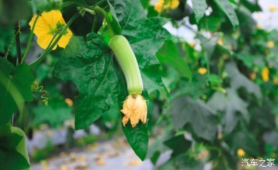 于都富硒大米最好(江西富硒大米)-硒宝网