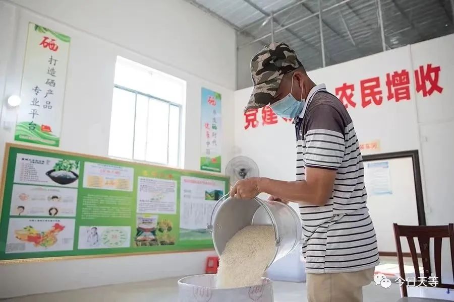 广西富硒大米加工(广西扶贫产品富硒大米)-硒宝网