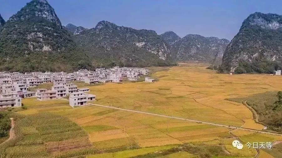 广西富硒大米加工(广西扶贫产品富硒大米)-硒宝网