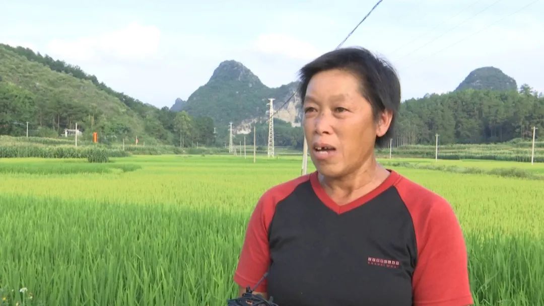 广西富硒大米加工（富硒大米基地）-硒宝网