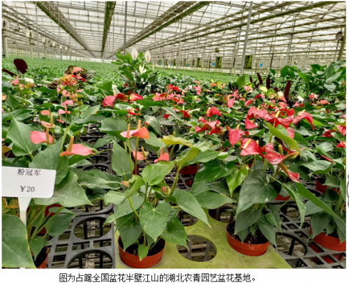 钟祥富硒大米品牌(最好的富硒大米多少钱一斤)-硒宝网