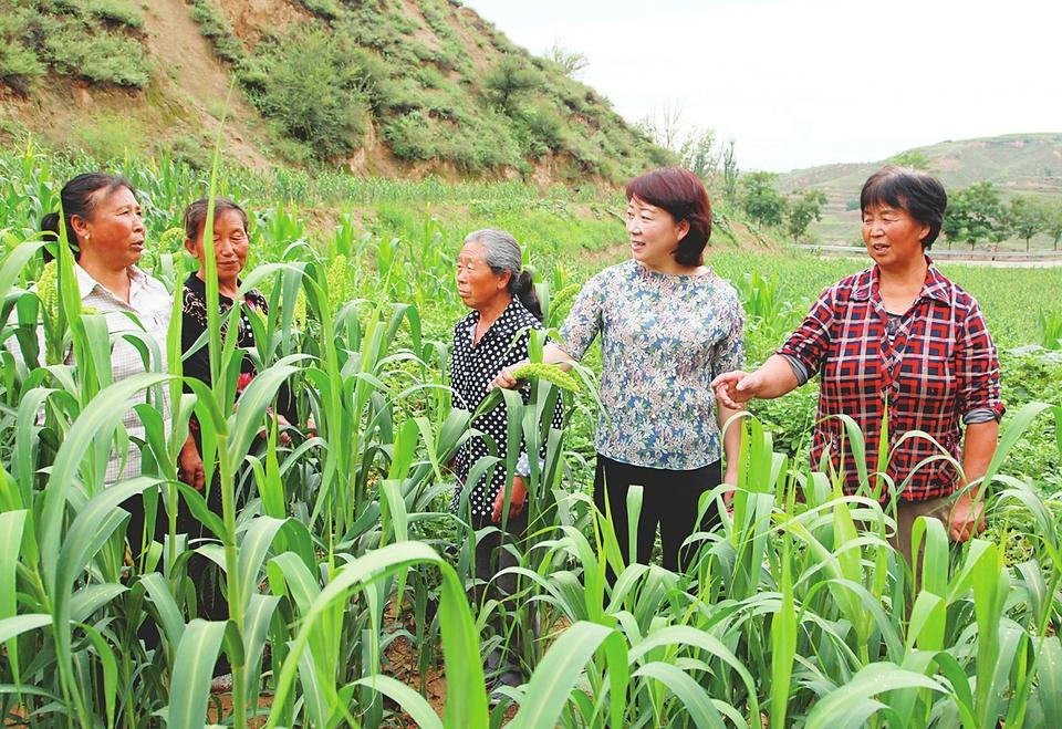 忻州有机富硒大米（富硒有机大米多少钱一斤）-硒宝网
