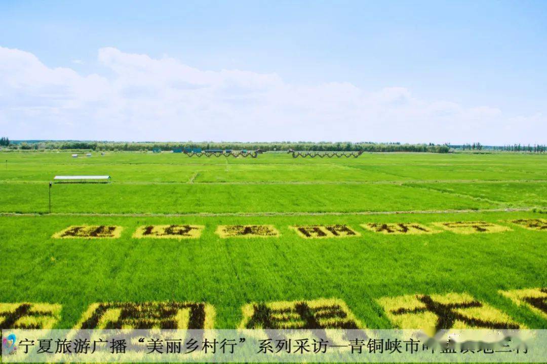 宁夏有机富硒大米(富硒优质大米)-硒宝网