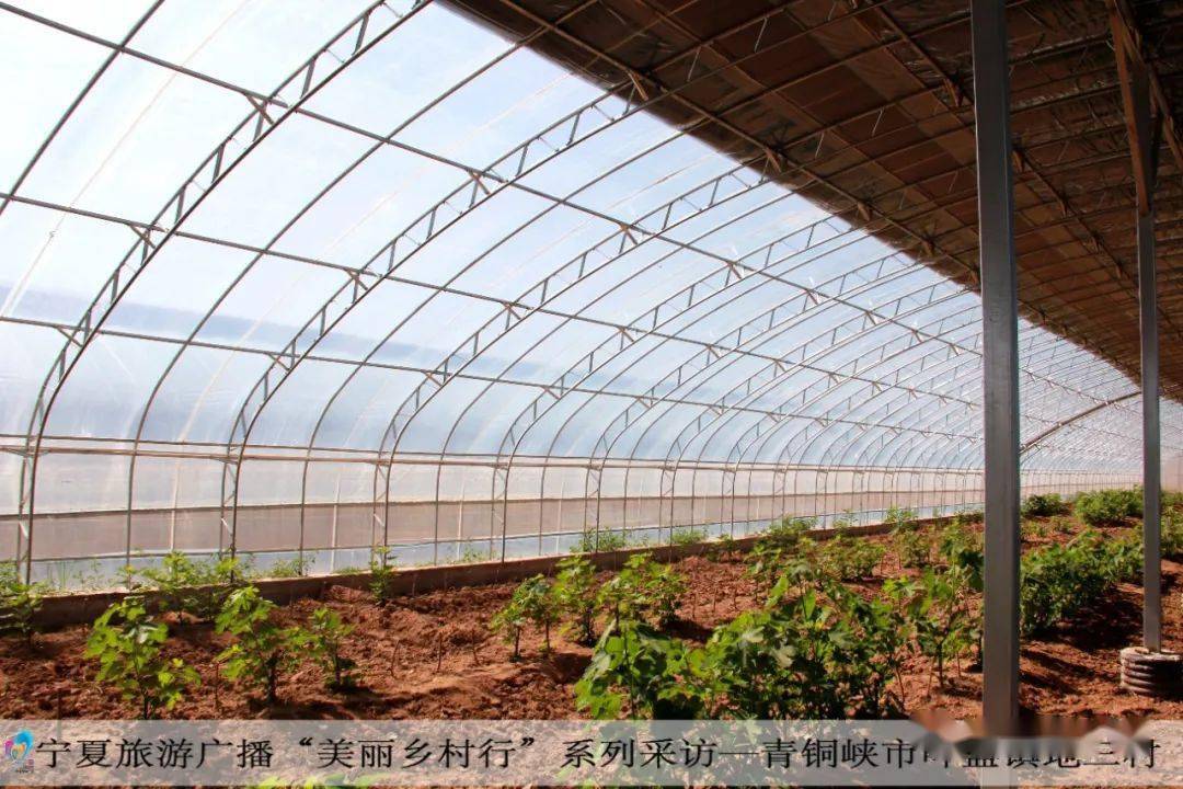 宁夏有机富硒大米(富硒优质大米)-硒宝网