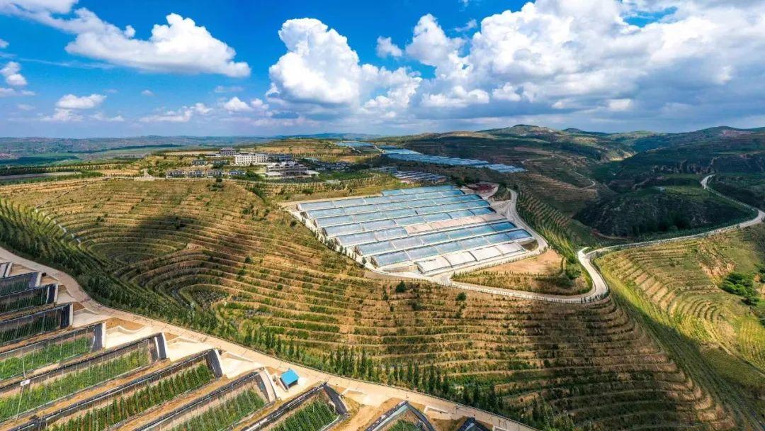 忻州有机富硒大米（富硒大米市场前景）-硒宝网