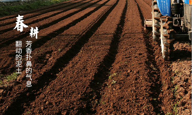 吉林富硒米大米姐（东北富硒大米）-硒宝网