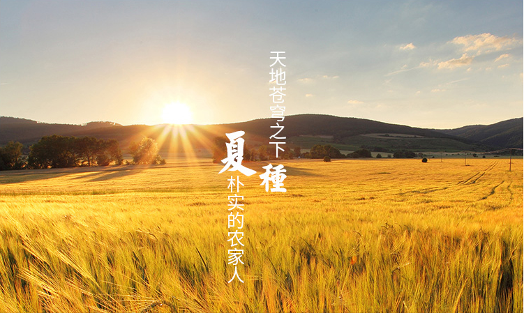 吉林富硒米大米姐（东北富硒大米）-硒宝网