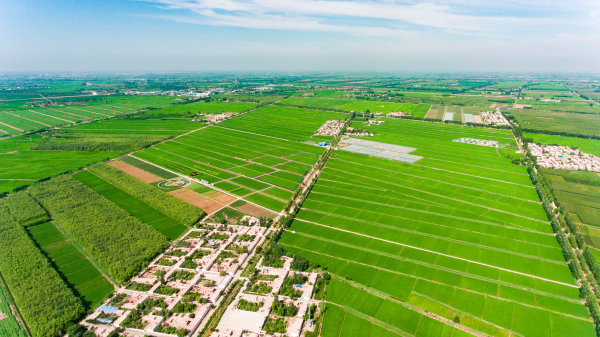 宁夏有机富硒大米(富硒大米市场前景)-硒宝网