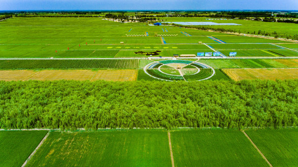 宁夏有机富硒大米(富硒大米市场前景)-硒宝网