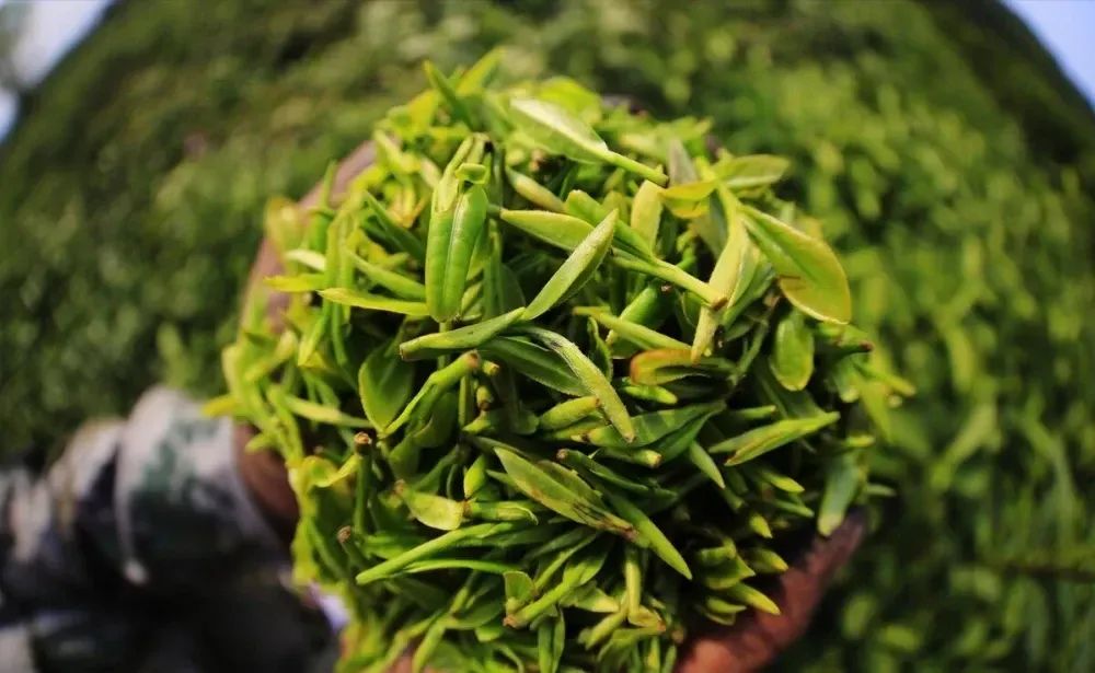 江西丰城富硒大米（江西丰城富硒大米价格）-硒宝网