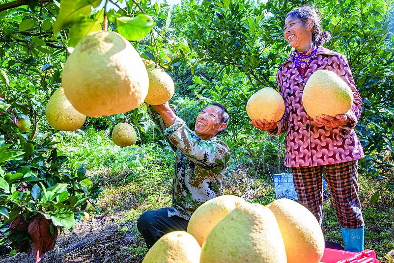 江西丰城富硒大米（江西丰城富硒大米价格）-硒宝网