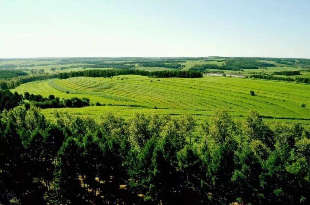 富硒大米五常大米(五常大米富硒米的价钱)-硒宝网