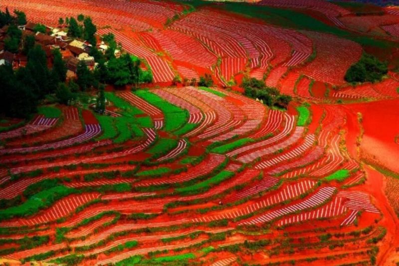 上堡大米富硒富锌(富硒大米什么好处)-硒宝网